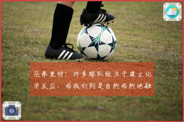 范弗里特：许多球队致力于建立化学反应，而我们则是自然而然地融为一体