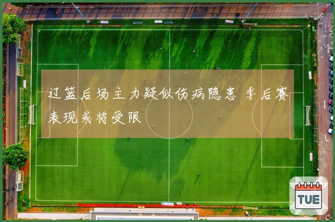 辽篮后场主力疑似伤病隐患 季后赛表现或将受限